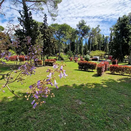 Pineta Parque de Campismo
