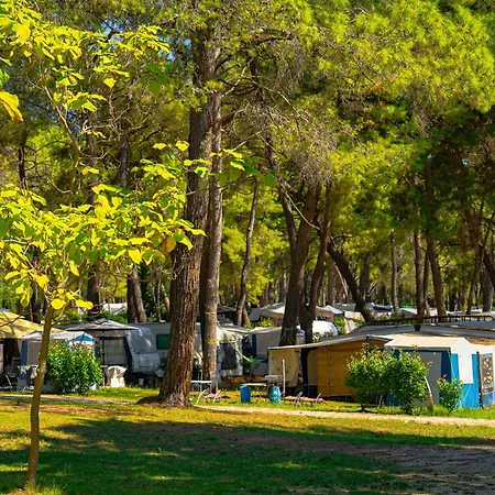 Pineta فاجانا