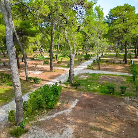 Pineta فاجانا