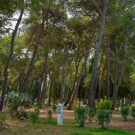 Kemping Pineta Fažana