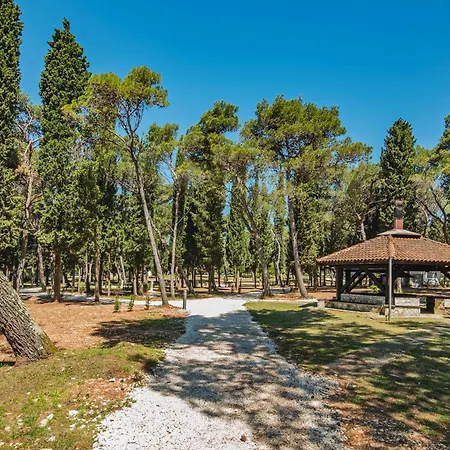 Pineta